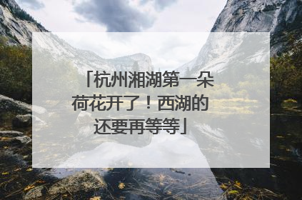 杭州湘湖第一朵荷花开了！西湖的还要再等等