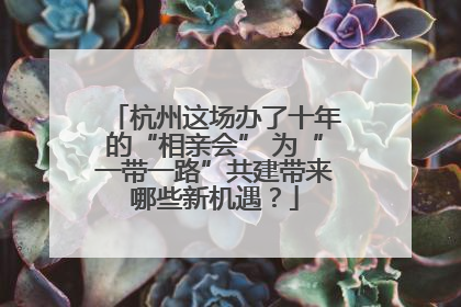 杭州这场办了十年的“相亲会” 为“一带一路”共建带来哪些新机遇？