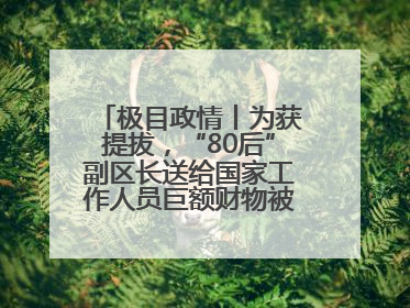 极目政情丨为获提拔，“80后”副区长送给国家工作人员巨额财物被“双开”