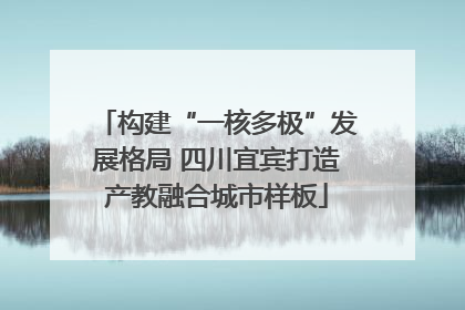 构建“一核多极”发展格局 四川宜宾打造产教融合城市样板