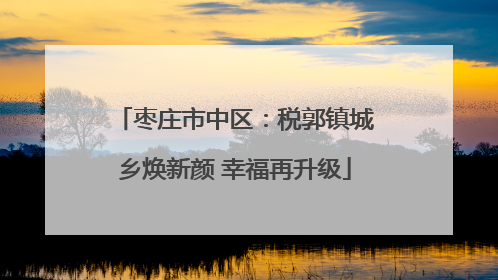 枣庄市中区：税郭镇城乡焕新颜 幸福再升级