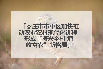 枣庄市市中区加快推动农业农村现代化进程 形成“振兴乡村 增收富农”新格局
