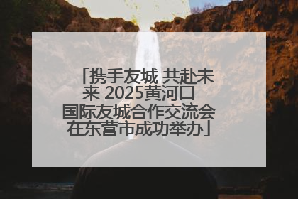 携手友城 共赴未来 2025黄河口国际友城合作交流会在东营市成功举办