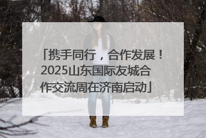 携手同行，合作发展！2025山东国际友城合作交流周在济南启动