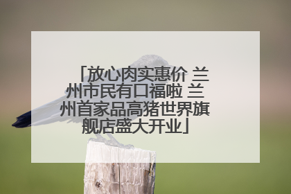 放心肉实惠价 兰州市民有口福啦 兰州首家品高猪世界旗舰店盛大开业