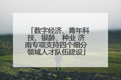 数字经济、青年科技、银龄、种业 济南专项支持四个细分领域人才队伍建设