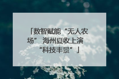 数智赋能“无人农场” 海州夏收上演“科技丰景”