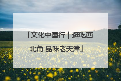 文化中国行｜逛吃西北角 品味老天津