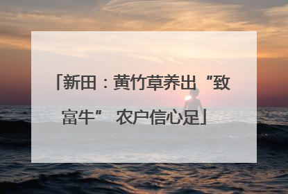 新田：黄竹草养出“致富牛” 农户信心足