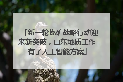 新一轮找矿战略行动迎来新突破，山东地质工作有了人工智能方案