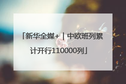 新华全媒+｜中欧班列累计开行110000列