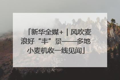新华全媒+｜风吹麦浪好“丰”景——多地小麦机收一线见闻