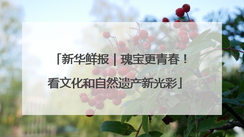 新华鲜报｜瑰宝更青春！看文化和自然遗产新光彩