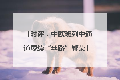 时评：中欧班列中通道赓续“丝路”繁荣