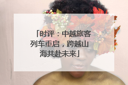 时评：中越旅客列车重启，跨越山海共赴未来