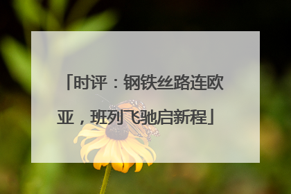 时评：钢铁丝路连欧亚，班列飞驰启新程