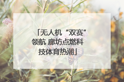 无人机“双赛”领航 廊坊点燃科技体育热潮