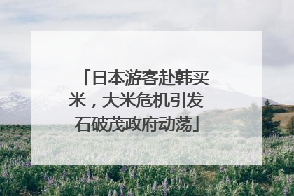 日本游客赴韩买米，大米危机引发石破茂政府动荡