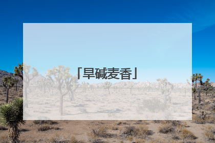 旱碱麦香
