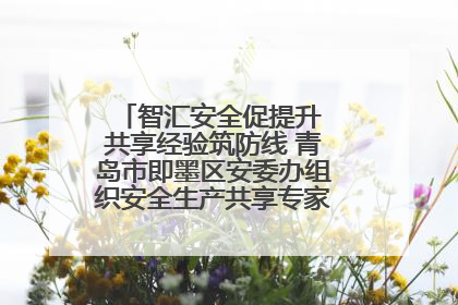 智汇安全促提升 共享经验筑防线 青岛市即墨区安委办组织安全生产共享专家现场观摩学习活动