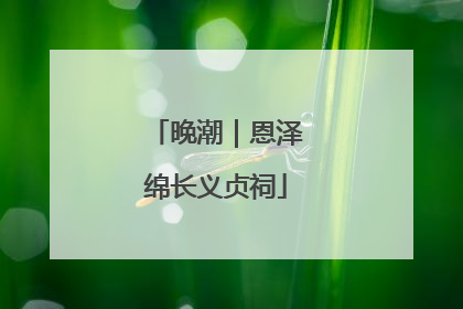 晚潮｜恩泽绵长义贞祠