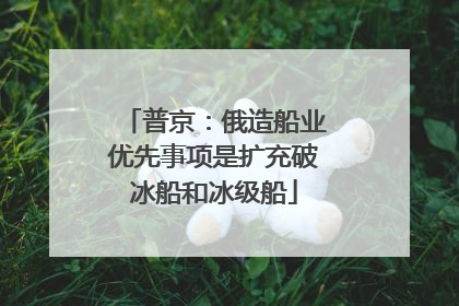 普京：俄造船业优先事项是扩充破冰船和冰级船