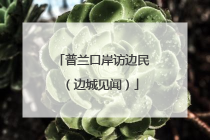 普兰口岸访边民（边城见闻）