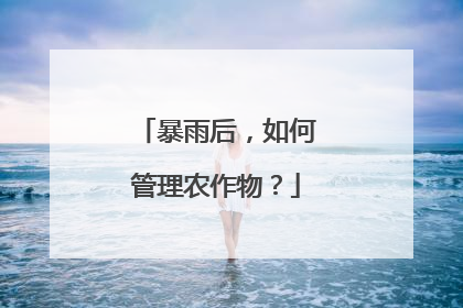 暴雨后，如何管理农作物？