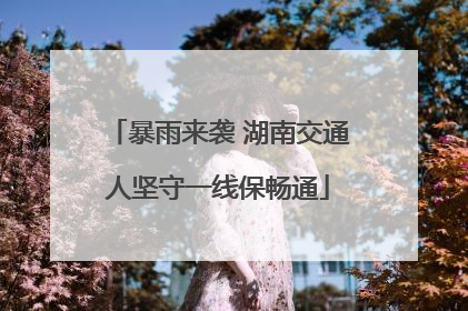 暴雨来袭 湖南交通人坚守一线保畅通