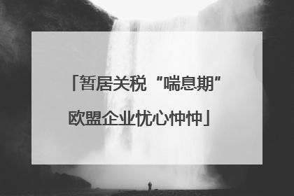 暂居关税“喘息期” 欧盟企业忧心忡忡