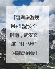 暑期旅游规划+出游安全指南，武汉文旅“红马甲”闪耀高招会