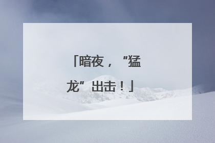 暗夜，“猛龙”出击！