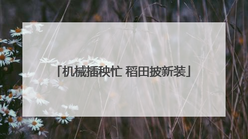 机械插秧忙 稻田披新装