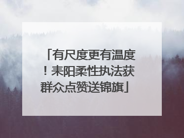 有尺度更有温度！耒阳柔性执法获群众点赞送锦旗