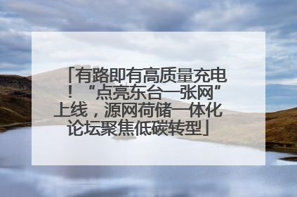 有路即有高质量充电！“点亮东台一张网”上线，源网荷储一体化论坛聚焦低碳转型