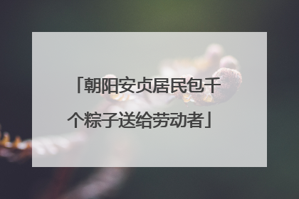 朝阳安贞居民包千个粽子送给劳动者