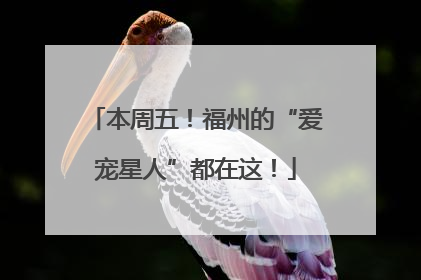 本周五！福州的“爱宠星人”都在这！