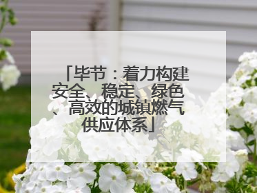 毕节：着力构建安全、稳定、绿色、高效的城镇燃气供应体系