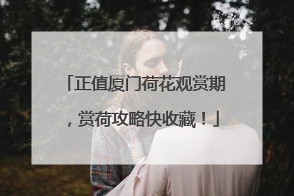 正值厦门荷花观赏期，赏荷攻略快收藏！