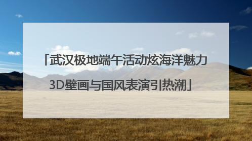武汉极地端午活动炫海洋魅力 3D壁画与国风表演引热潮