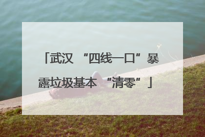 武汉 “四线一口”暴露垃圾基本 “清零”