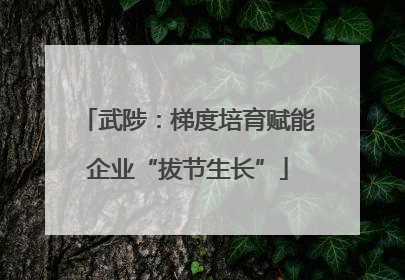 武陟：梯度培育赋能企业“拔节生长”