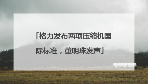 格力发布两项压缩机国际标准，董明珠发声