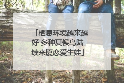 栖息环境越来越好 多种夏候鸟陆续来厦恋爱生娃