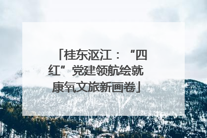 桂东沤江：“四红”党建领航绘就康氧文旅新画卷