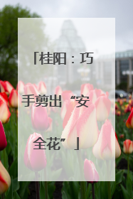 桂阳：巧手剪出“安全花”