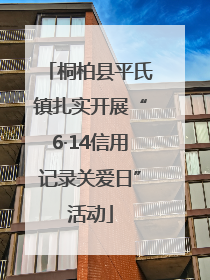 桐柏县平氏镇扎实开展“6·14信用记录关爱日”活动