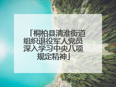 桐柏县清淮街道组织退役军人党员深入学习中央八项规定精神