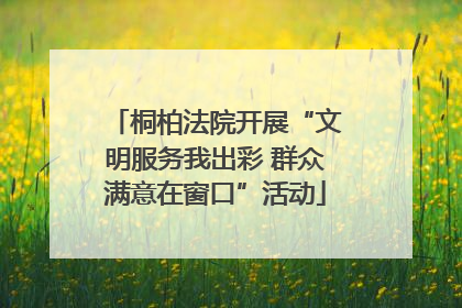 桐柏法院开展“文明服务我出彩 群众满意在窗口”活动