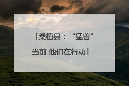 桑植县：“猛兽”当前 他们在行动